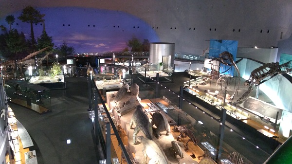 恐竜博物館キレイ