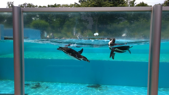 ペンギンこども動物自然公園