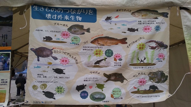 魚の種類